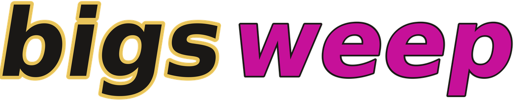 bigsweep logo